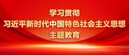 免费操女生的逼学习贯彻习近平新时代中国特色社会主义思想主题教育_fororder_ad-371X160(2)